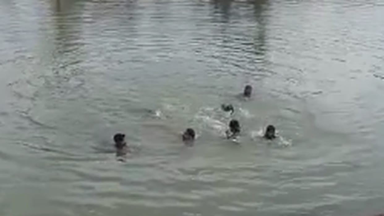 two children died due to drowning in anicut while bathing in gpm