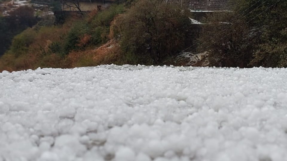 Uttarakhand Weather Changed On Holi snowfall in mountains and heavy hailstorm in Mussoorie photos