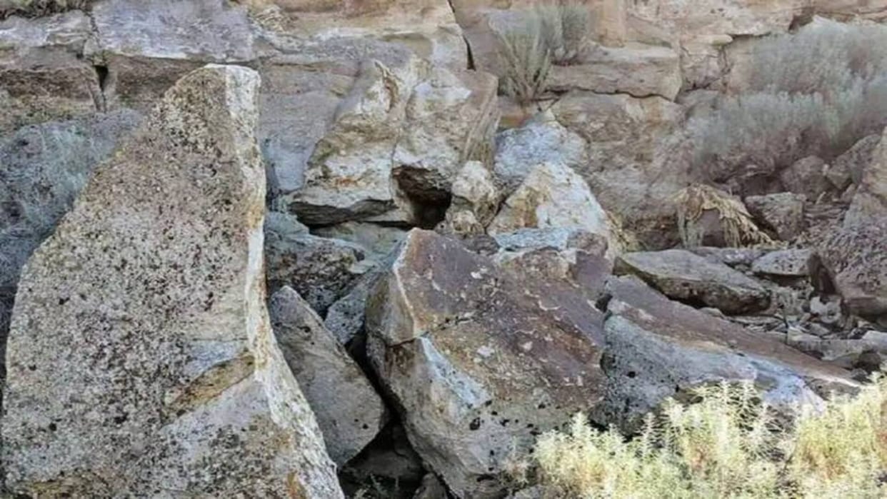 Optical Illusion Test: You Have 7 Seconds To Find The Hidden Animal On The Rocks