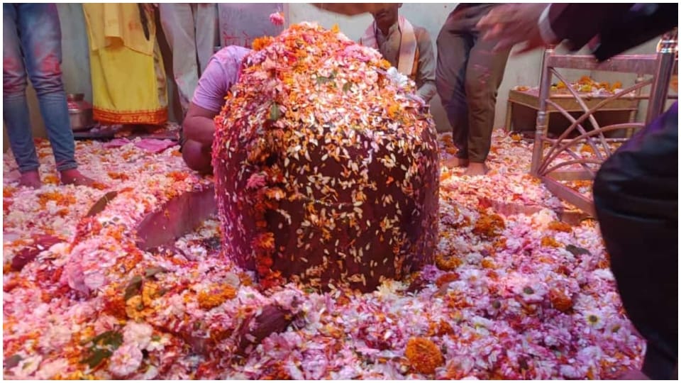 Thousands of devotees reached Damoh Bandakpur Dham played Holi of flowers with Lord Jageshwar Nath