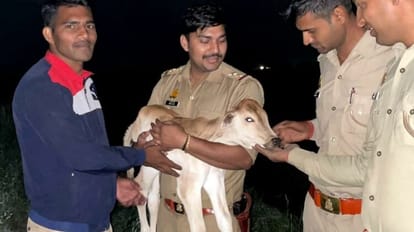 Baghpat Police: पुलिस ने पेश की मानवता की मिसाल, चार घंटे की मशक्कत के बाद नवजात बछड़े को मां से मिलवाया गोवंश के साथ के साथ पुलिस