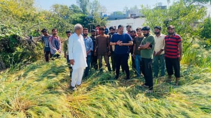 सीहोर में बारिश-ओलावृष्टि से फसलों को नुकसान हुआ।