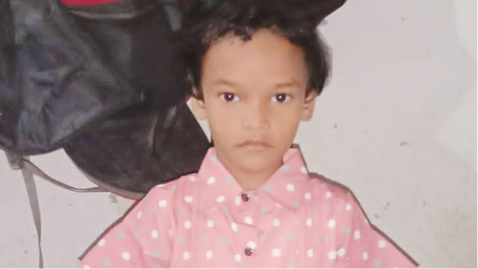 mother and daughter fell from the ladder Fearing monkey on the terrace in Delhi girl died