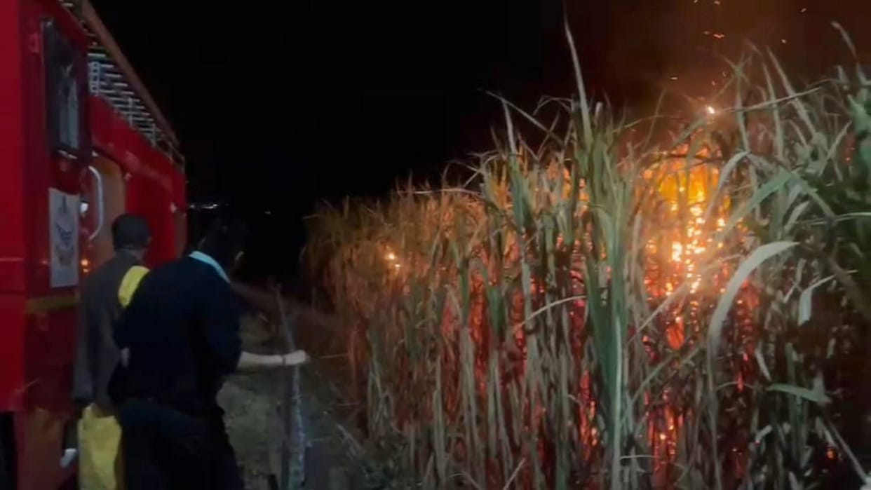 Crop ashes due to fierce fire in Ranipokhari sugarcane field Dehradun Uttarakhand News