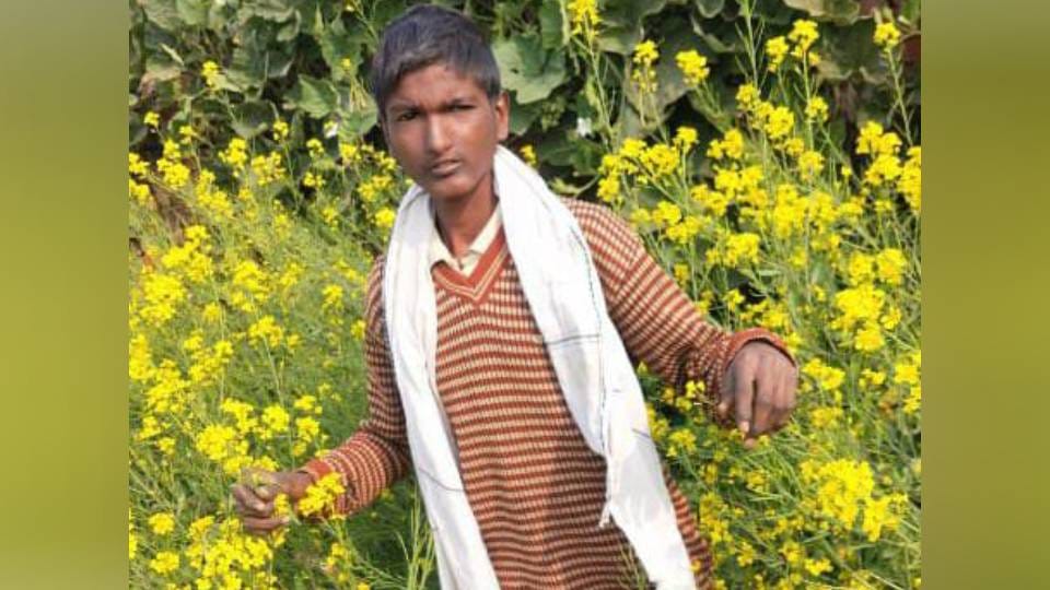 teenager died from lightning struck while companion was injured In Firozabad