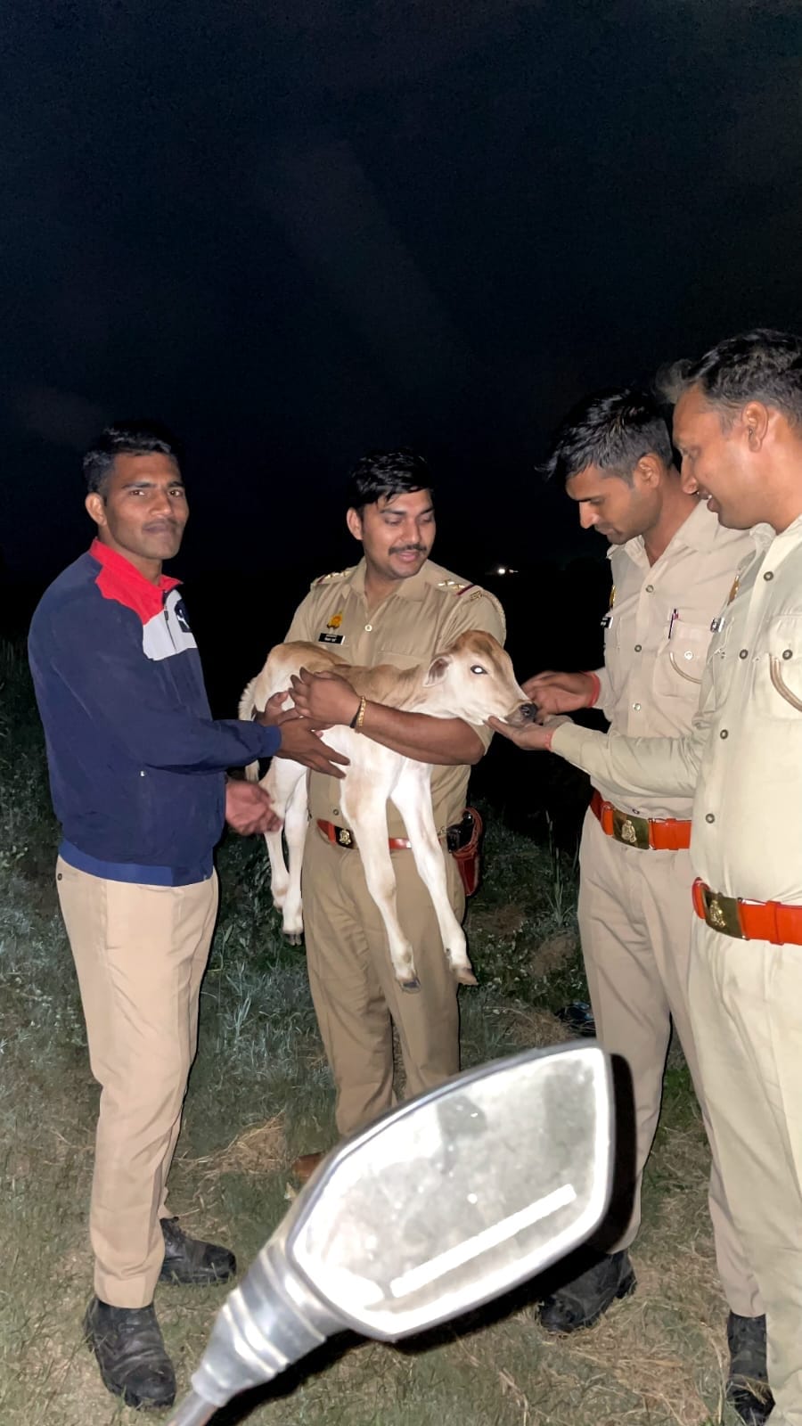 Baghpat Police: Police presented an example of humanity, newborn calf was introduced to the mother