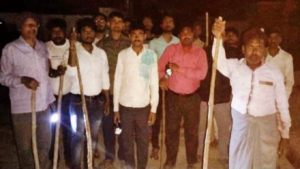 People Are Scared Of Leopard In Amanpur kasganj hindi news