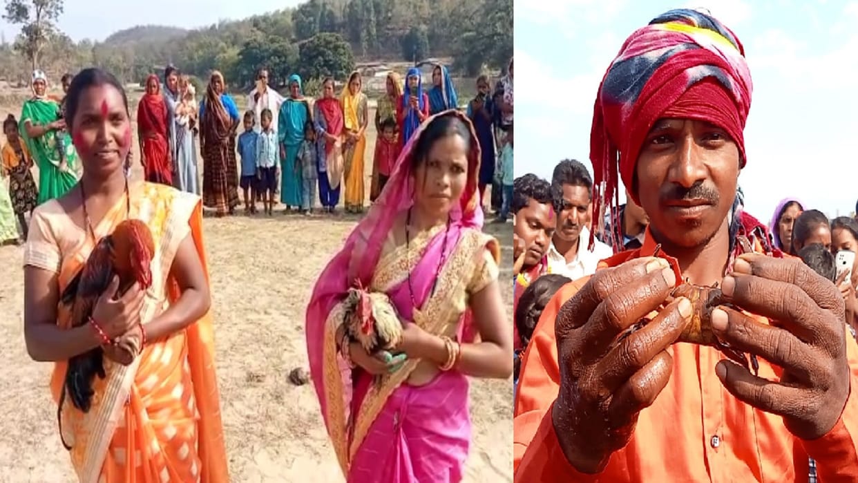 Olympics is organized among animals in Koriya Bairagi village