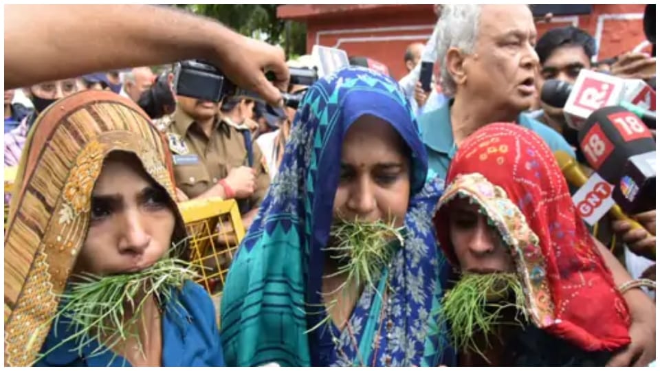 Jaipur Police forcibly ended the sit-in of martyrs wives BJP MP Kirorilal Meena health deteriorated