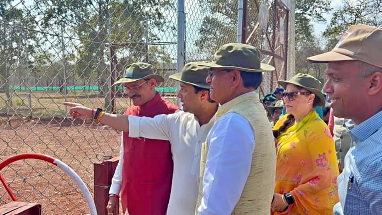 Tiger in Shivpuri CM Shivraj and Scindia released a tiger and tigress in Madhav National Park