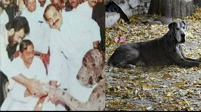 Umesh Pal Hatyakand: कभी विदेशी कुत्ते से मिलवाया था मुलायम सिंह का हाथ, उसी अतीक की एक कुतिया भूख से मर गई! फीमेल डॉग ब्रूनो की भूख प्यास से मौत