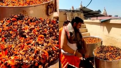 Ujjain: तीन क्विंटल टेसू के रंग से रंगपंचमी खेलेंगे बाबा महाकाल, मंदिर में बनाया जा रहा विशेष रंग रंगपंचमी खेलेंगे बाबा महाकाल