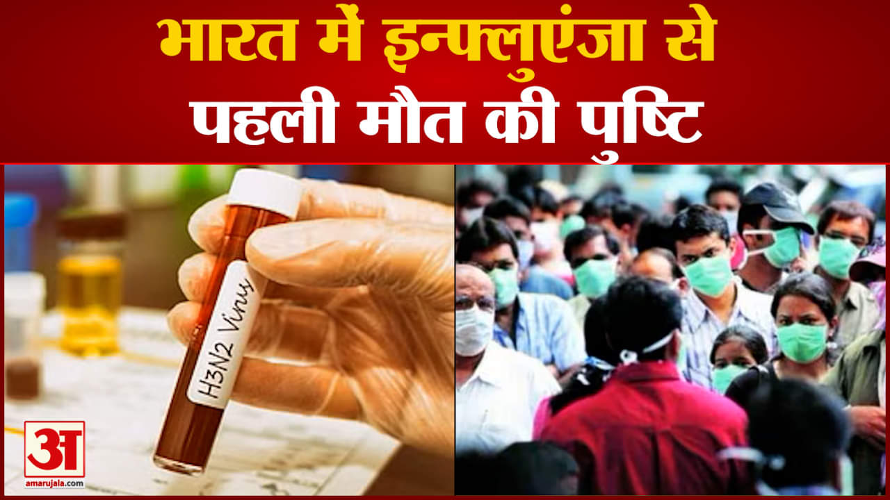 H3N2 इन्फ्लुएंजा वायरस