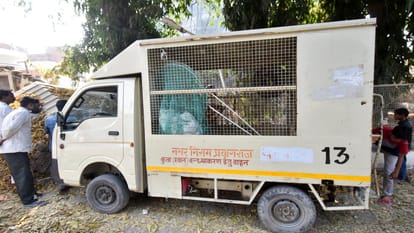 Mafia Atiq second dog Tiger also died, NGO reached to save hungry and thirsty dogs