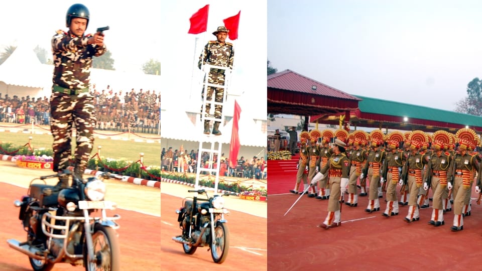 SSB 59th anniversary daredevils squad performs amazing stunts see photos