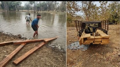 'पुष्पा' की तरह पानी में छिपा कर रहे थे लकड़ी की तस्करी, छापे में तालाब और जंगल से मिली 25 लाख की सागौन वन अमले ने छापामार कार्रवाई कर जब्त की 25 लाख की सागौन लकड़ी।