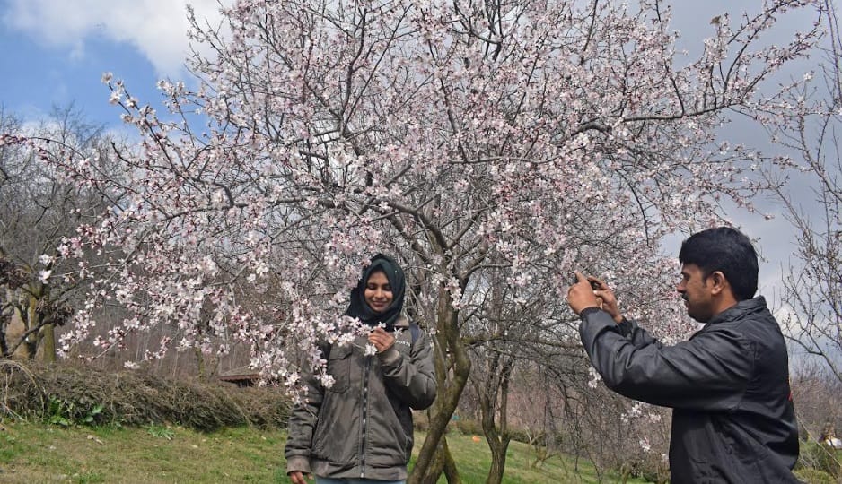 Jammu Kashmir Wearther: Chances of rain in some parts on march 13