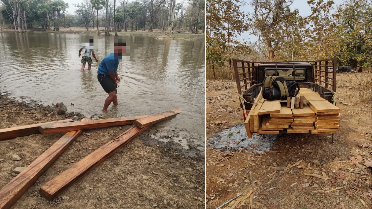 forest department raided and caught teak wood worth 25 lakhs In the forest of Sukma