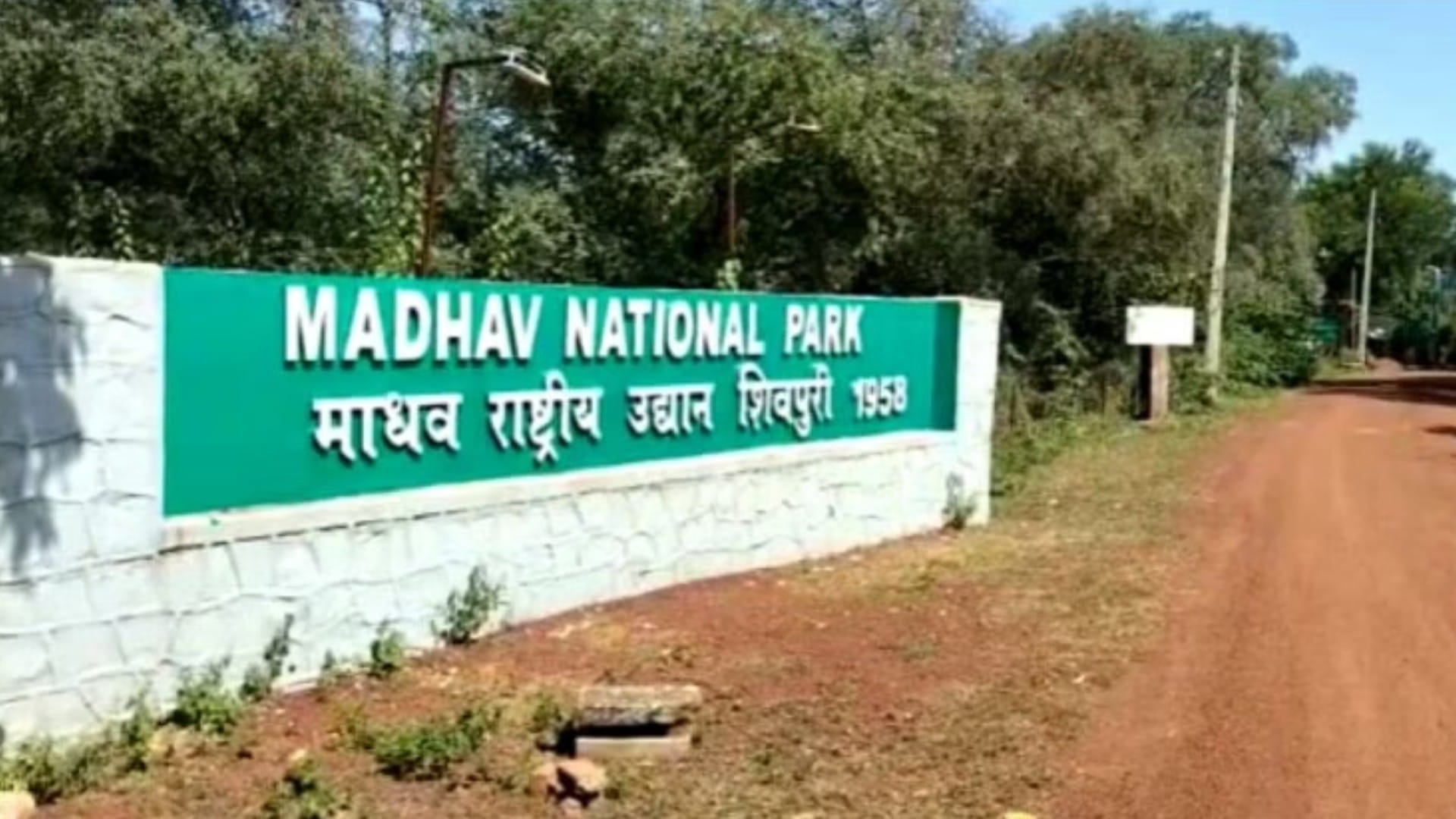 माधव नेशनल पार्क से बाघ भाग जाने की अफवाह उड़ गई।