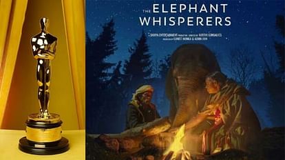 Oscar Award 2023:डॉक्यूमेंट्री शॉर्ट फिल्म का अवॉर्ड द एलिफेंट व्हिस्परर्स  के नाम, जानें इसकी पूरी कहानी - Oscar Award 2023 The Elephant Whispers Won  Award In Short Documentary ...