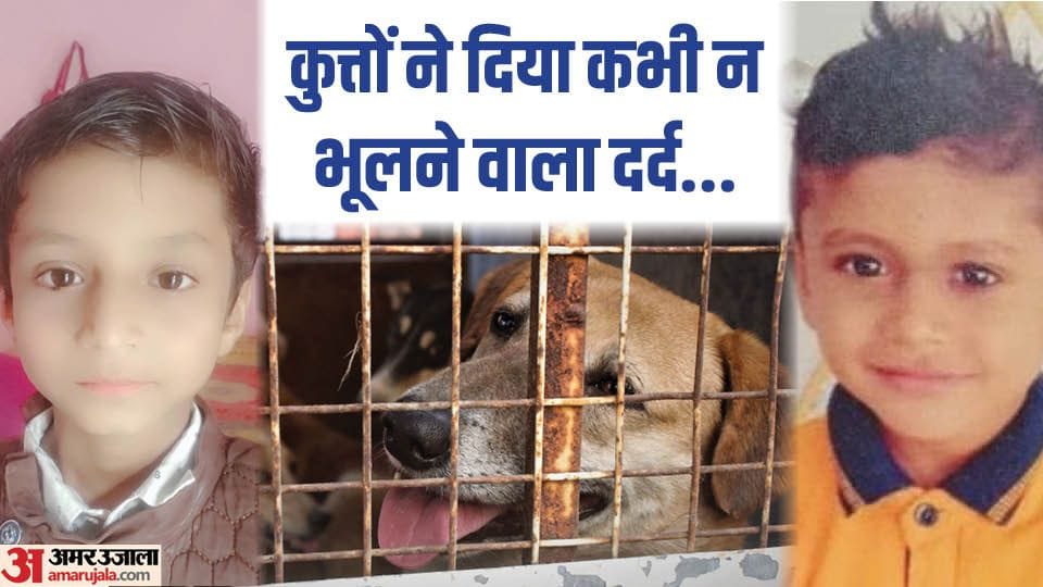 Case of death of two brothers in dog attack in Vasant Kunj both died due to rupture of neck veins