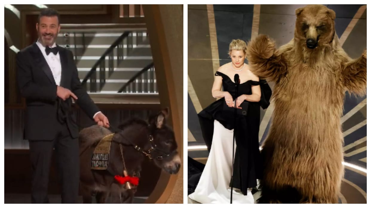 Oscar 2023: The adorable donkey and Bear showed up during 95th Academy Awards know the reason and all details