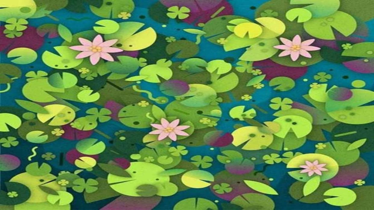 Optical Illusion IQ Test: There is a Turtle Hidden in the lake, You Have 7 Seconds to Find It Can You?
