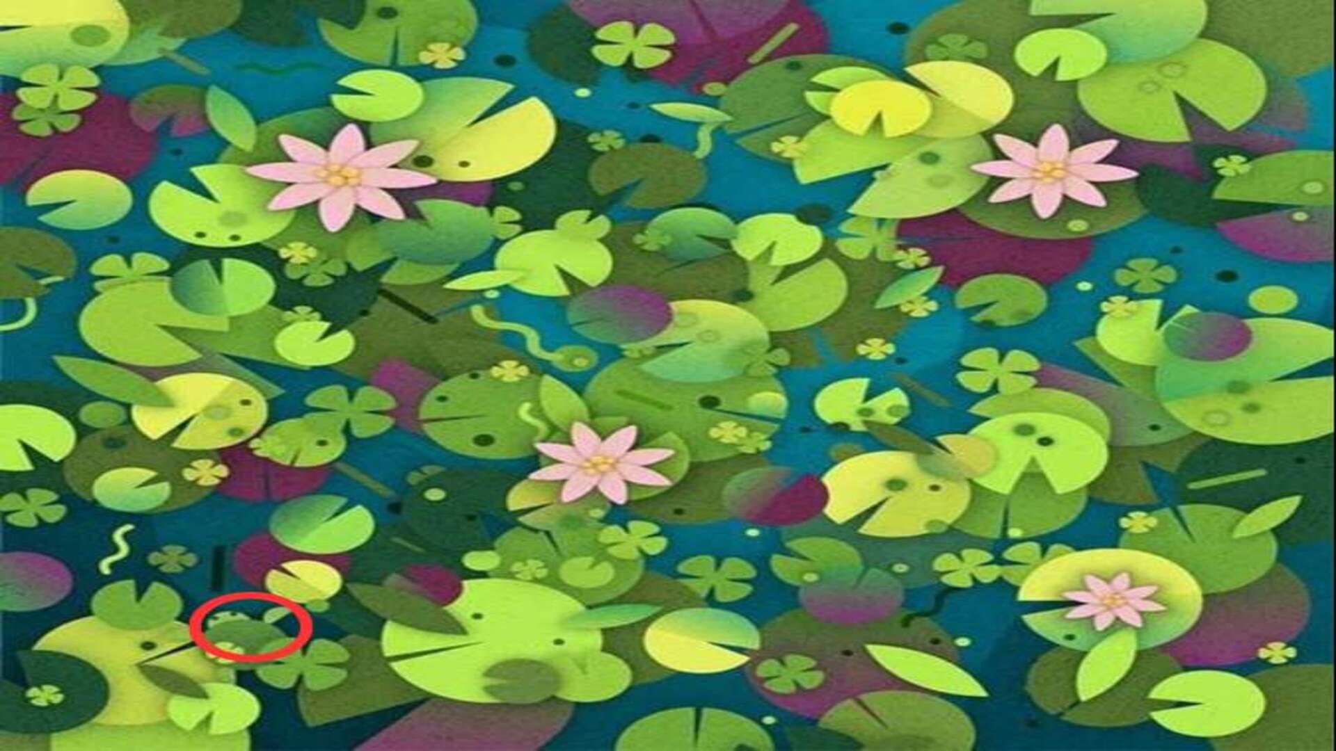 Optical Illusion IQ Test: There is a Turtle Hidden in the lake, You Have 7 Seconds to Find It Can You?