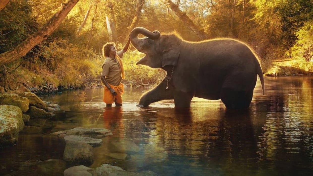 Oscars 2023: Durga has a same story like 'Raghu' elephant from the Oscar-winning film the Elephant Whisperers