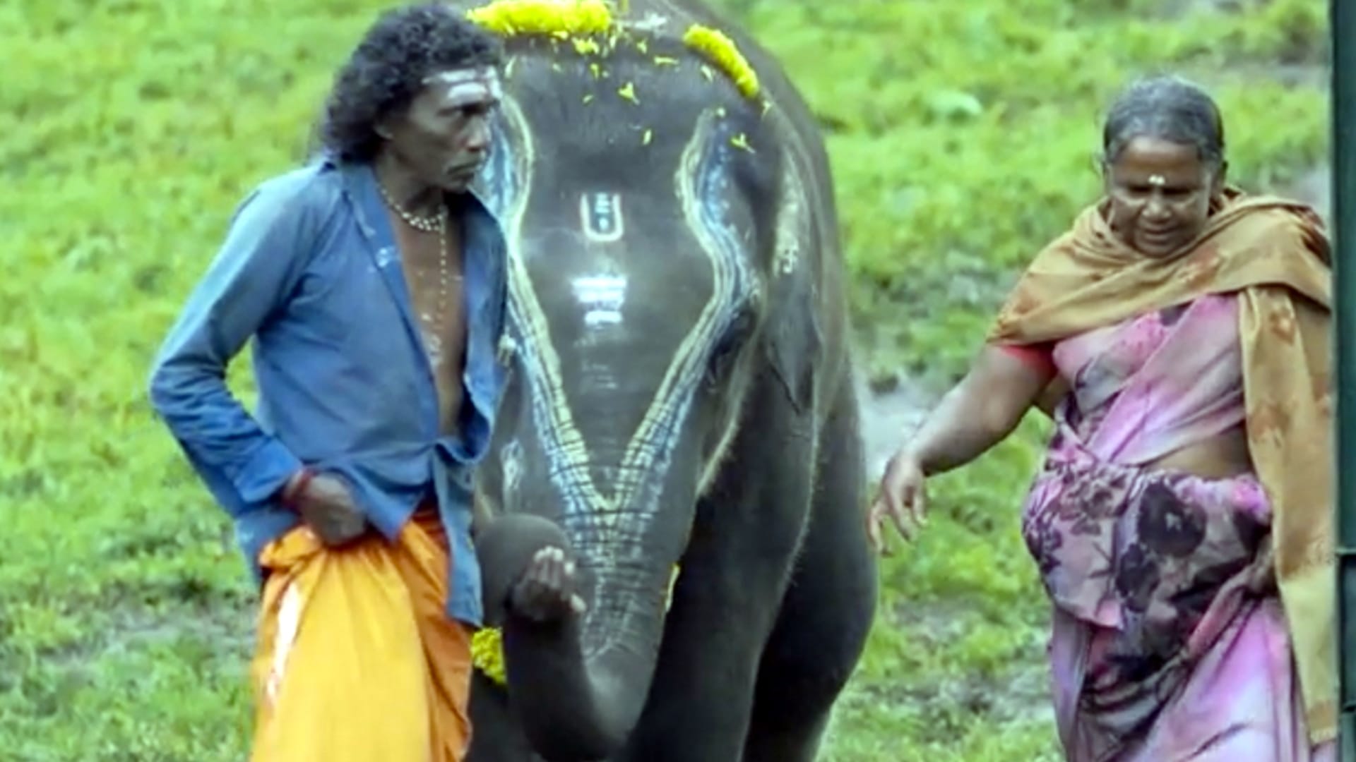 Oscar Award 2023 The Elephant Whispers Won Award In Short Documentary Category RRR Natu Natu