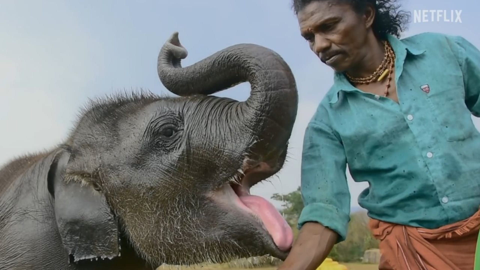 Oscar Award 2023 The Elephant Whispers Won Award In Short Documentary Category RRR Natu Natu