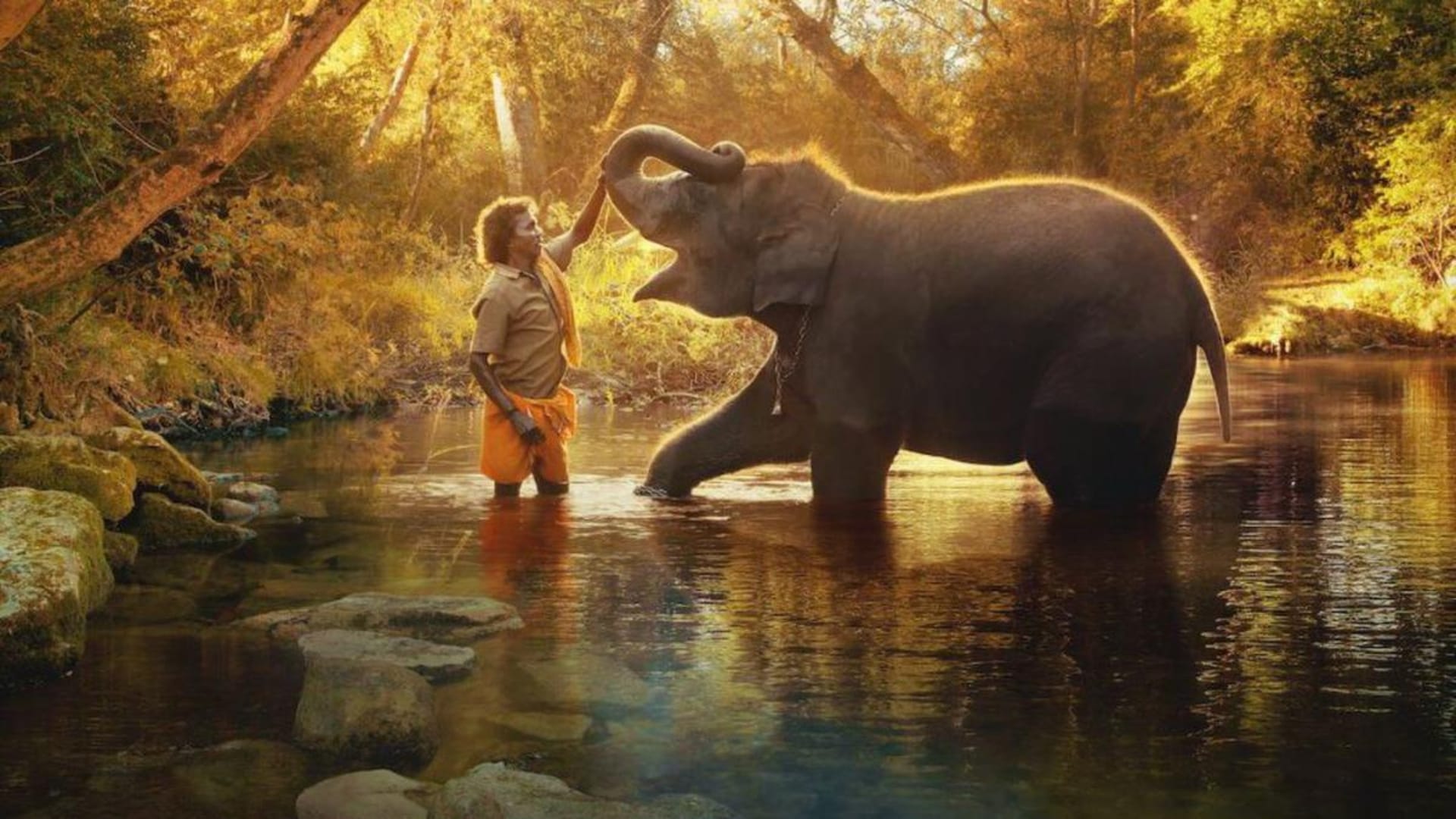 Oscar Award 2023 The Elephant Whispers Won Award In Short Documentary Category RRR Natu Natu