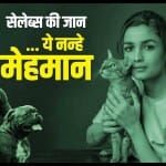 इन स्टार्स को है अपने पालतू जानवरों से बेशुमार प्यार