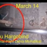 पन्नू की तरफ से जारी किया गया वीडियो