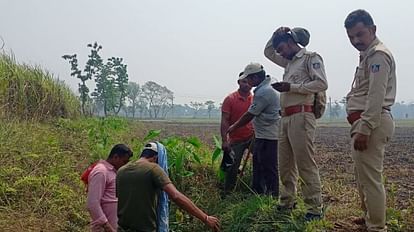 बेतिया में बाघ की तलाश में वन विभाग की टीम।