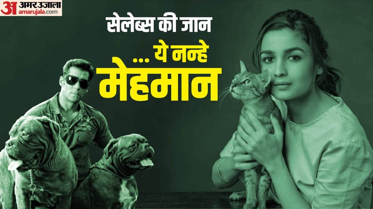 Bollywood Celebrities Who Are Pet Lovers from Alia Bhatt to Madhuri Dixit