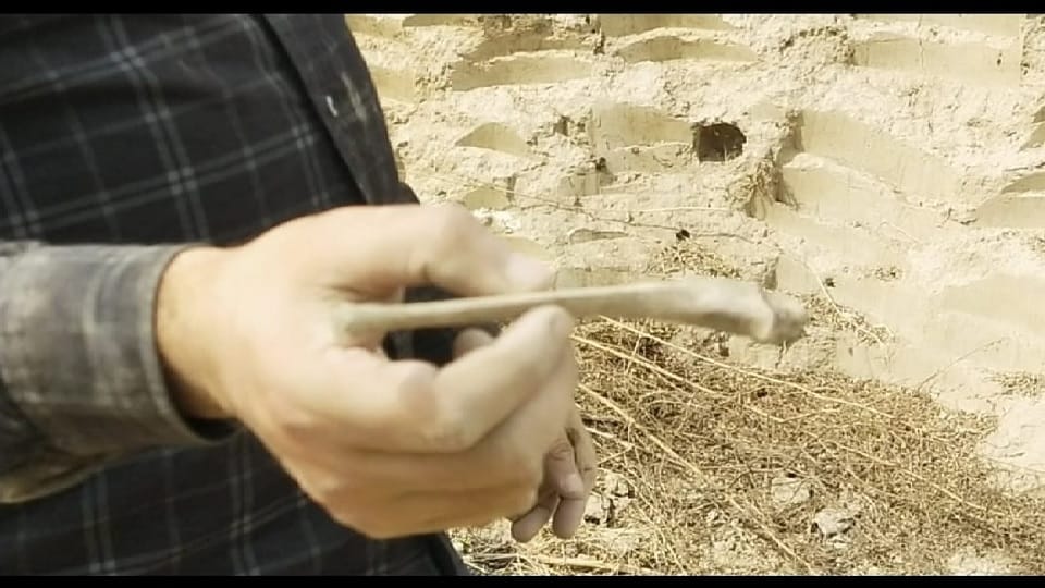 Ancient bricks human skeletons pottery and toys found from mound of Johar Majra in Karnal