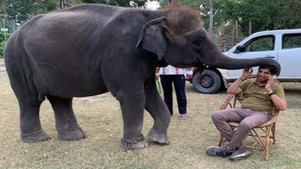 emotional stoty of mahavat Irshad and Elephant Durga in Dudhwa National Park