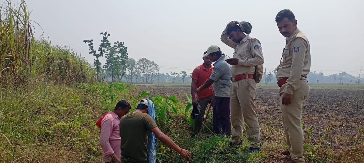 Bihar: Tiger terror in Bettiah, laborers were working in sugarcane field, suddenly roared and entered