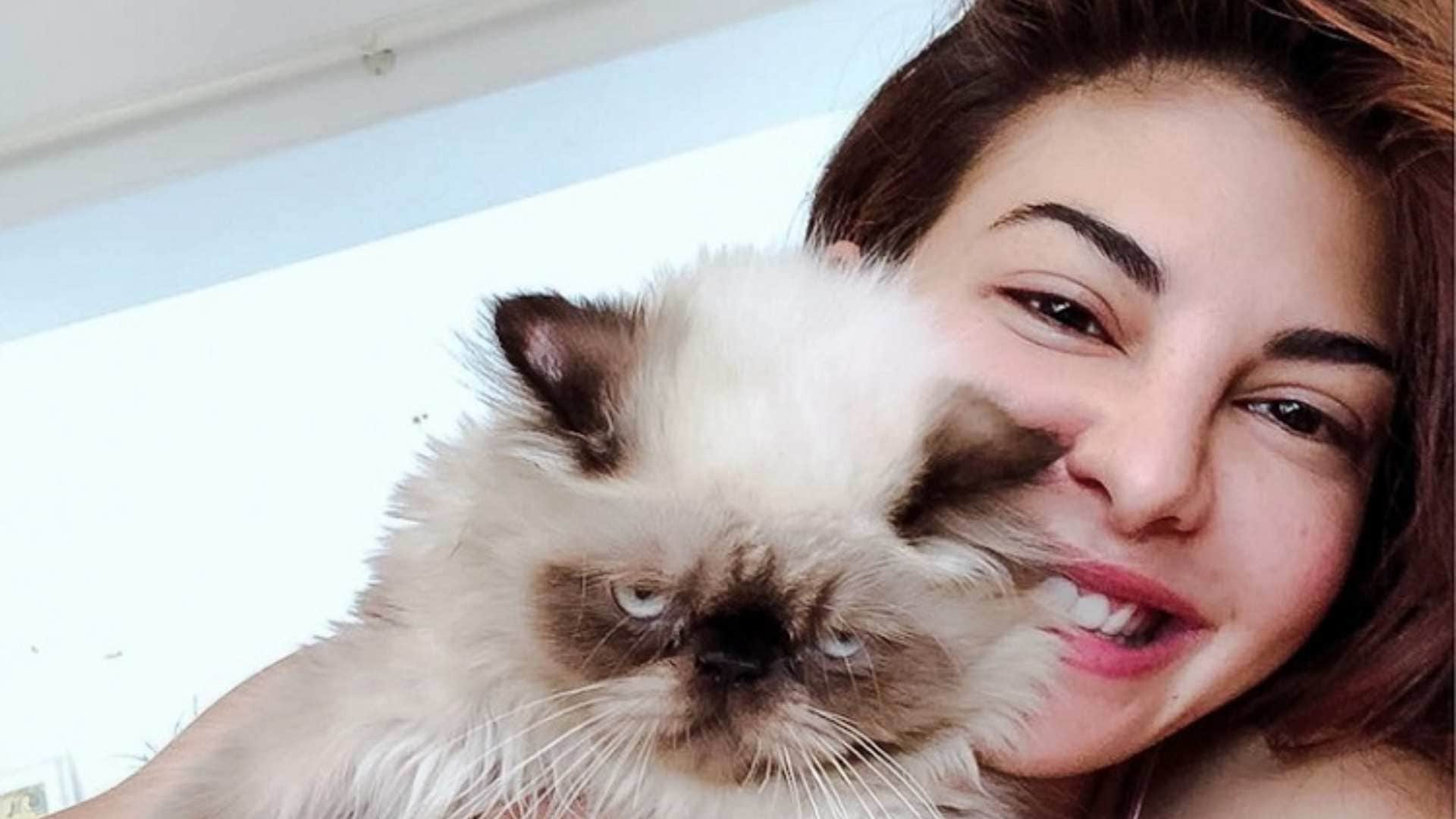 Bollywood Celebrities Who Are Pet Lovers from Alia Bhatt to Madhuri Dixit