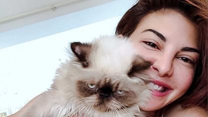 Bollywood Celebrities Who Are Pet Lovers From Alia Bhatt To Madhuri Dixit
