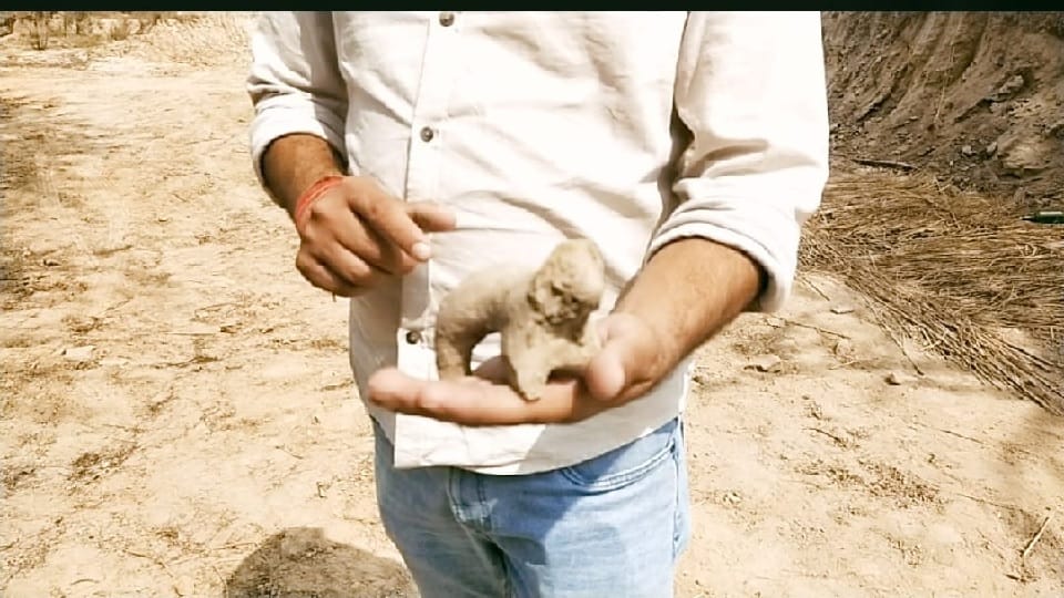 Ancient bricks human skeletons pottery and toys found from mound of Johar Majra in Karnal
