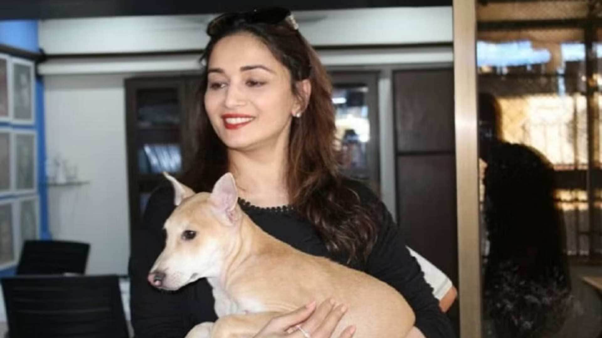 Bollywood Celebrities Who Are Pet Lovers from Alia Bhatt to Madhuri Dixit