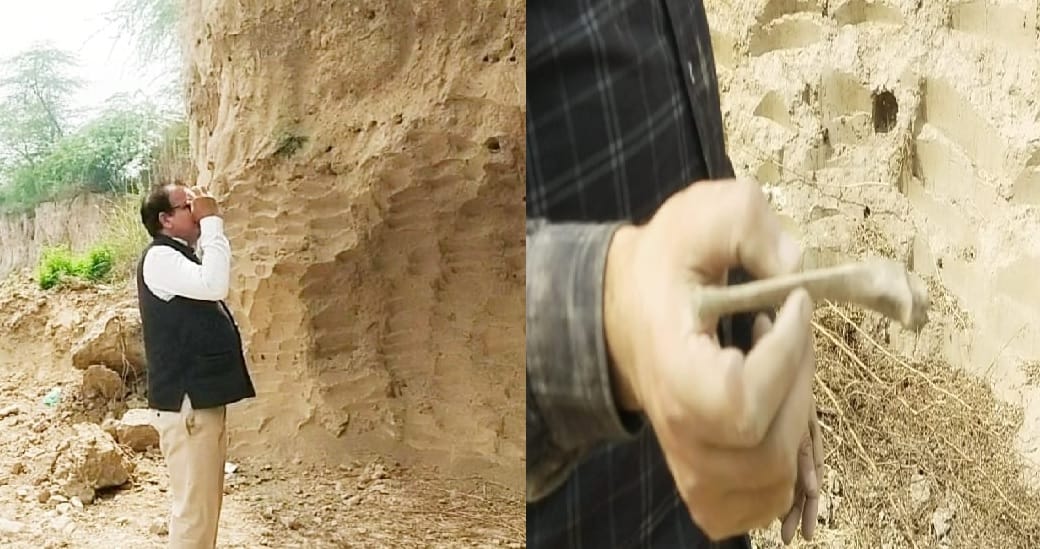 Ancient bricks human skeletons pottery and toys found from mound of Johar Majra in Karnal