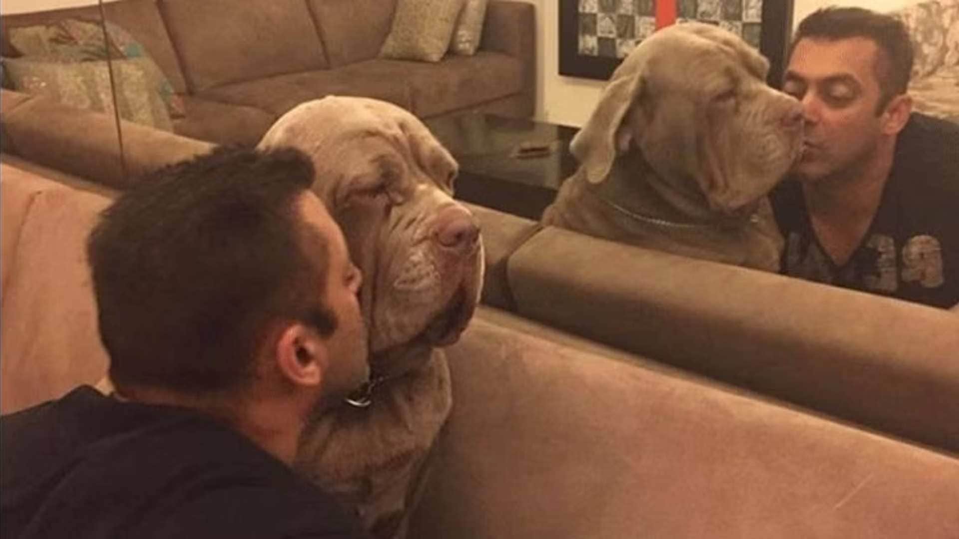 Bollywood Celebrities Who Are Pet Lovers from Alia Bhatt to Madhuri Dixit