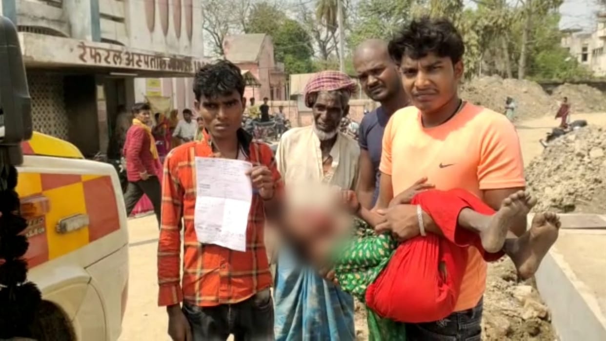 Stray dogs bitten and injured half a dozen people at different places in Gogri block of Khagaria