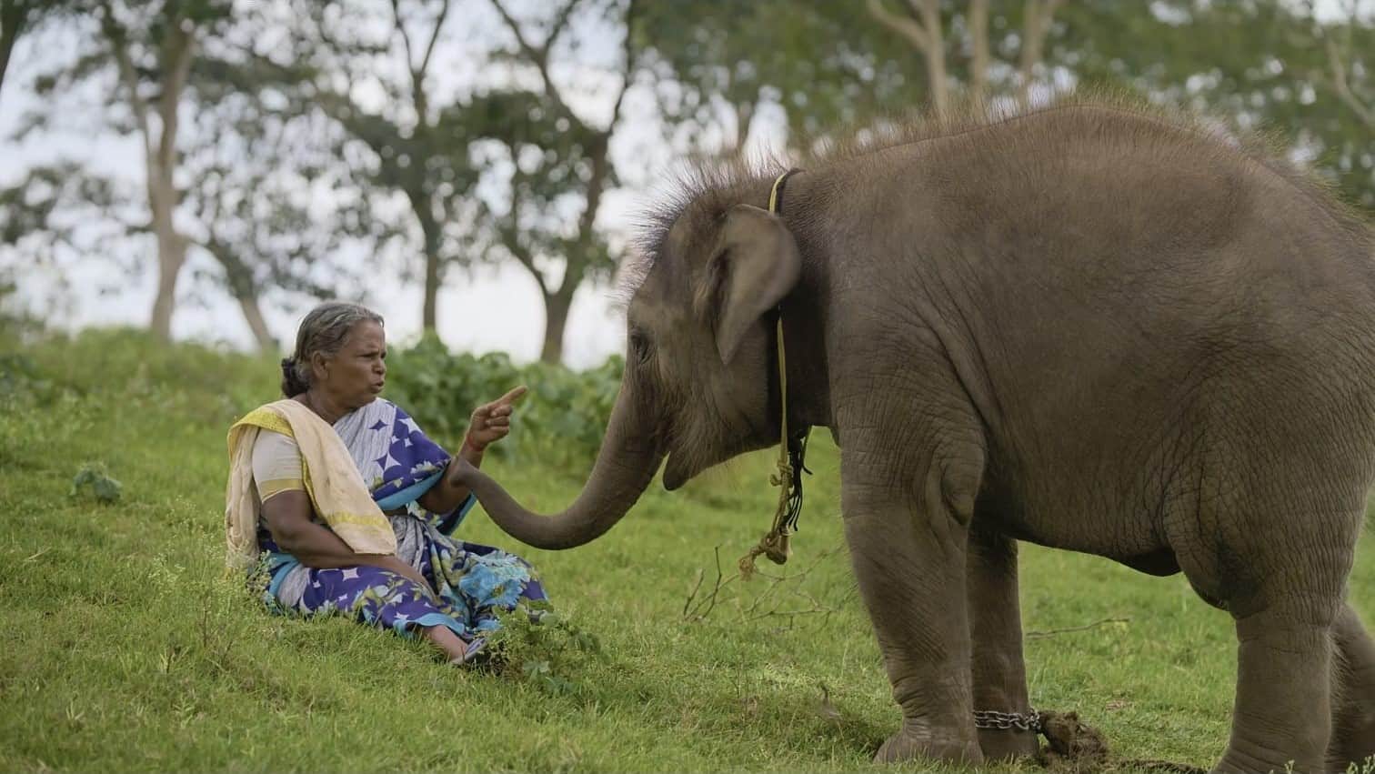 The Elephant Whisperers Controversy Bomman Says he Do not Know Who Sent Legal Notice to Kartiki Gonsalves