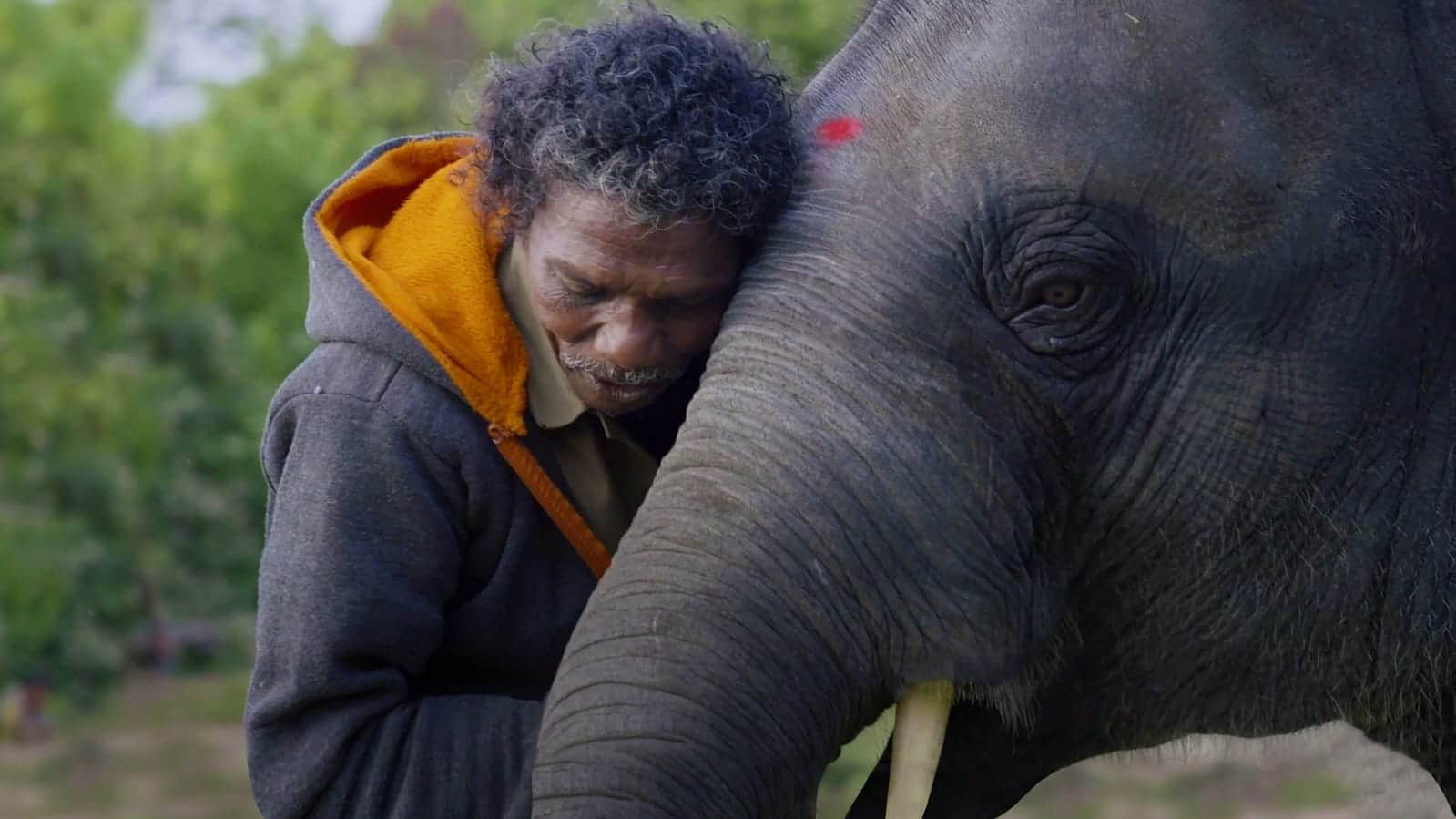 PM Modi meet Oscar winning The Elephant Whisperers couple Bomman Bellie during Mudumalai Tiger Reserve visit