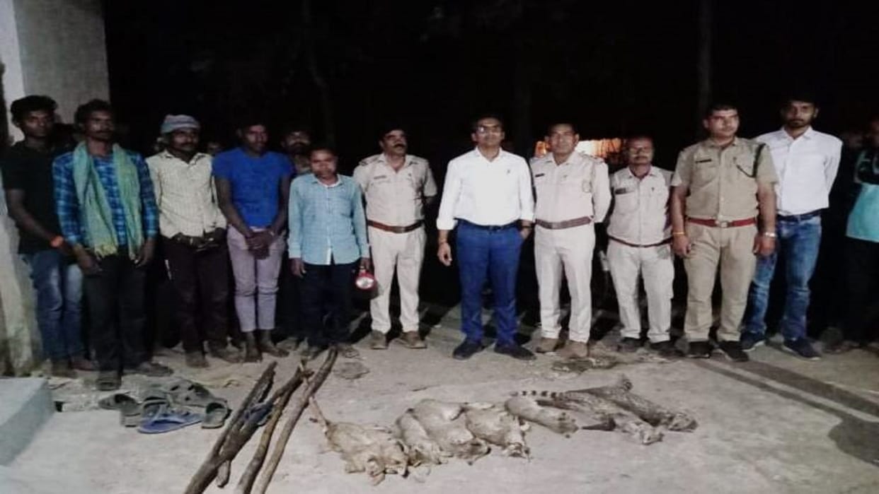 forest department arrested nine people who hunt and eat wild animals