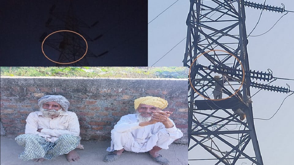 High voltage drama of elders in Pathankot, climbed 200 feet high tower